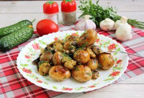 molodoi_kartofel_jarenii_celikom_quotaromatniiquot-782721-3459598