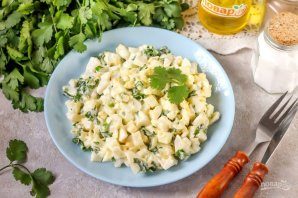 salat_s_kalmarami_i_kinzoi-790512-3005867