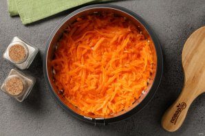 salat_quotmimozaquot-793293-8477571