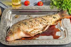 karp_po-polski-798923-6243130