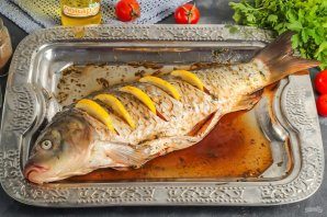 karp_po-polski-798924-3214955