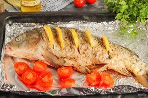 karp_po-polski-798925-6334351