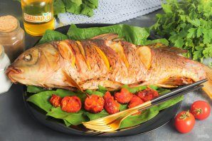 karp_po-polski-798927-6653903