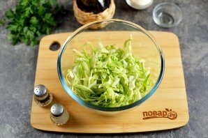 salat_quotstrekozaquot-799515-2458682