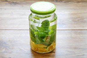 myatno-limonnaya_nastoika-801288-4763579